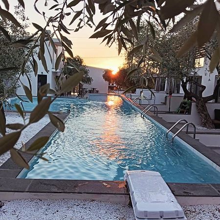 Hotel The Olive Hills Skala Rachoni  Exteriér fotografie