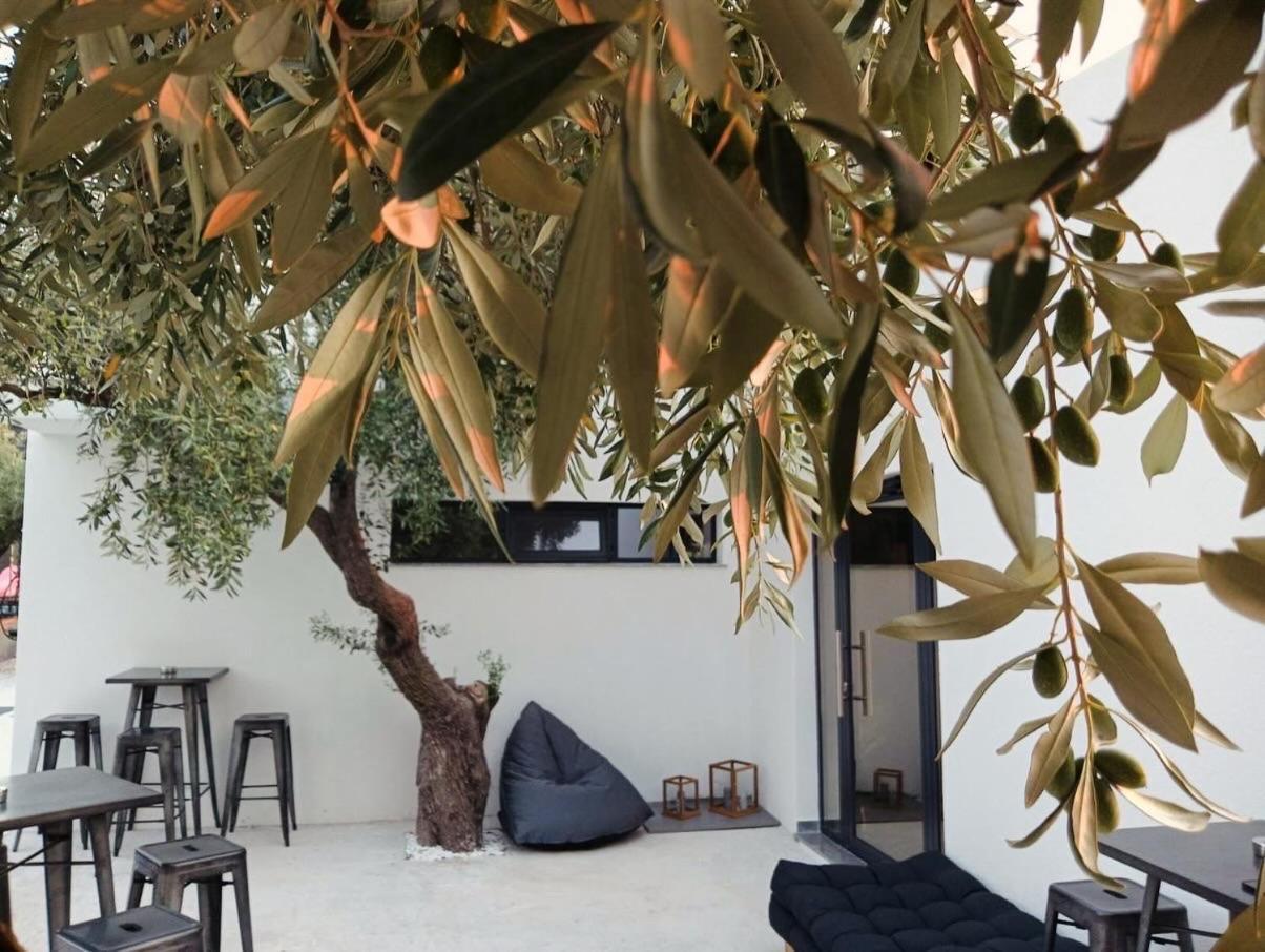 Hotel The Olive Hills Skala Rachoni  Exteriér fotografie