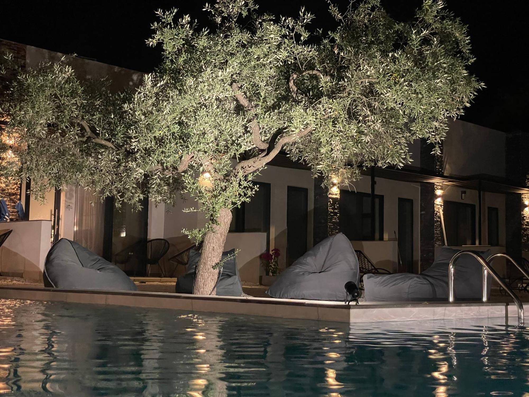 Hotel The Olive Hills Skala Rachoni  Exteriér fotografie