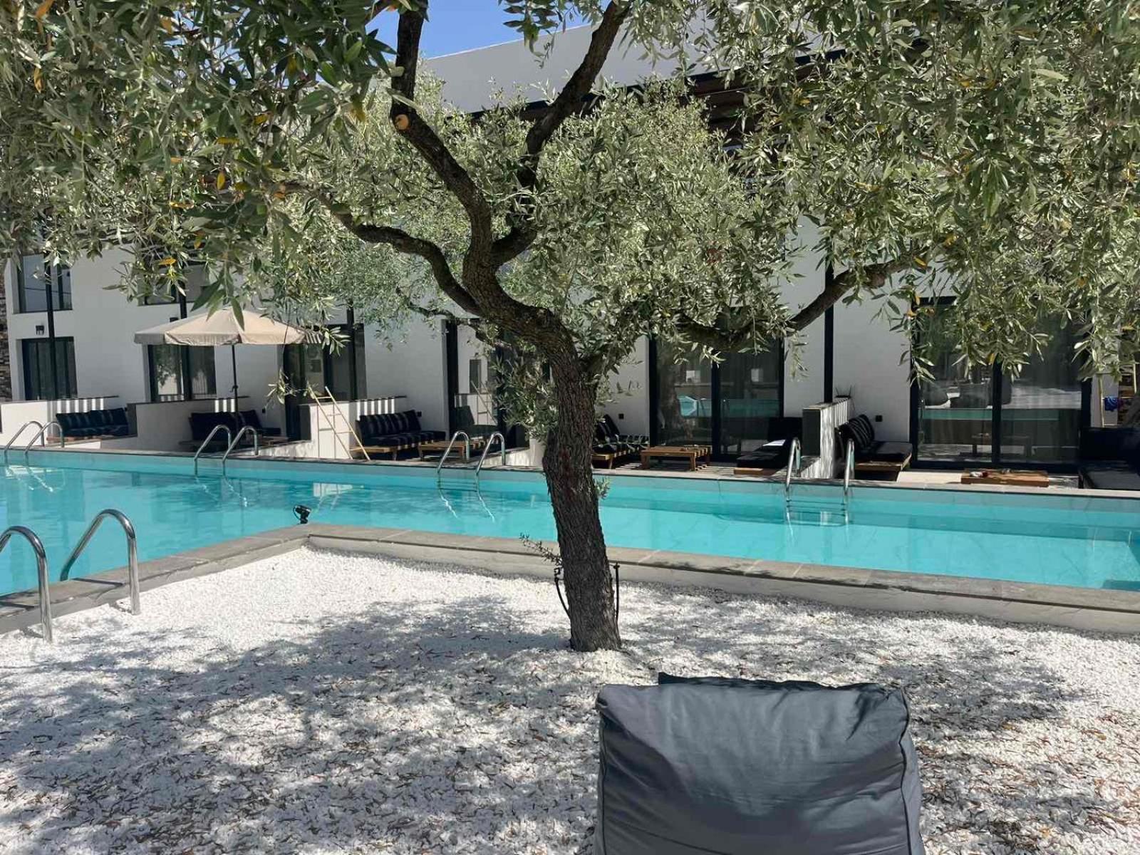 Hotel The Olive Hills Skala Rachoni  Exteriér fotografie