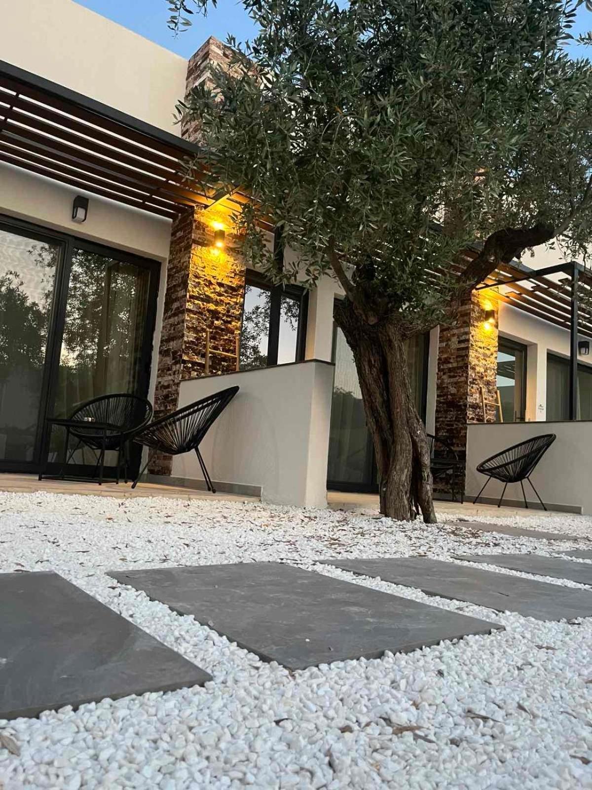 Hotel The Olive Hills Skala Rachoni  Exteriér fotografie